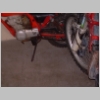 Honda tommys 70 01 20080120.jpg